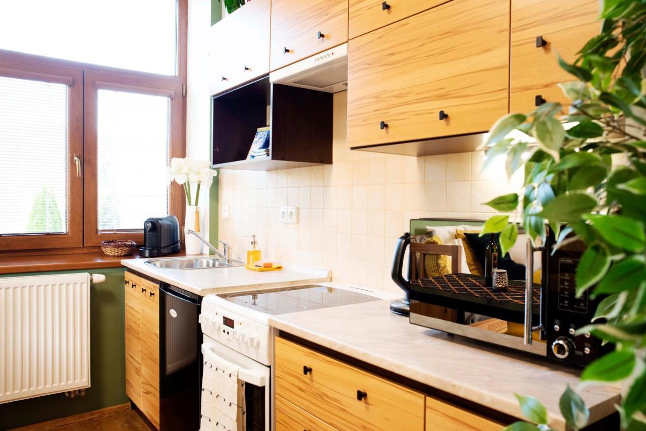 Apartmán u Horynů Ceska Trebova Exterior foto
