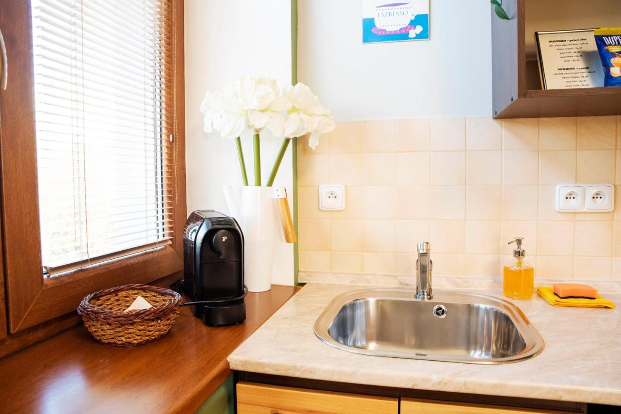 Apartmán u Horynů Ceska Trebova Exterior foto